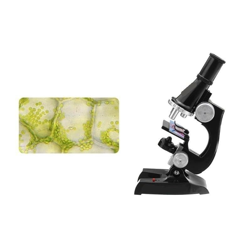 Set de Microscopio 36pzs 100200450X