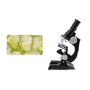 Set de Microscopio 36pzs 100200450X