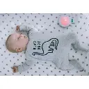 Accesorio Vibrador y Lámpara para Calmar al Bebé ZED 0m+