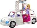 Polly Pocket Limusina de Lujo 4a+