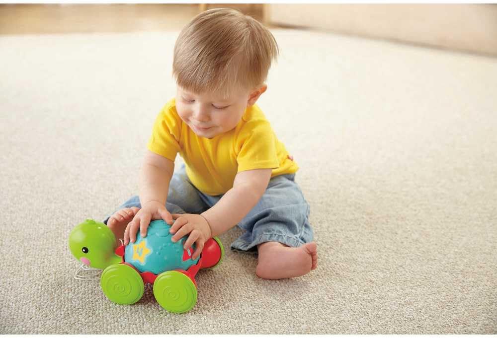 F-P Tortuga de Aprendizaje de Halar 12-36 m