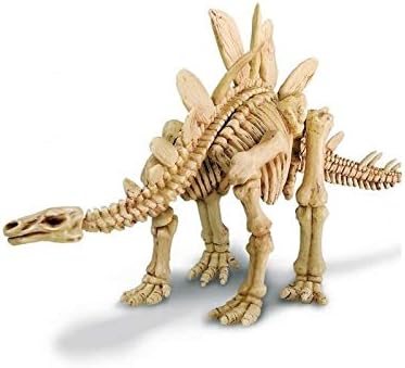 Kidz Labs Cava y Arma Tu Fósil de Stegosaurus 8a+