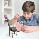Kidz Labs Cava y Arma Tu Fósil de Brachiosaurus 8a+