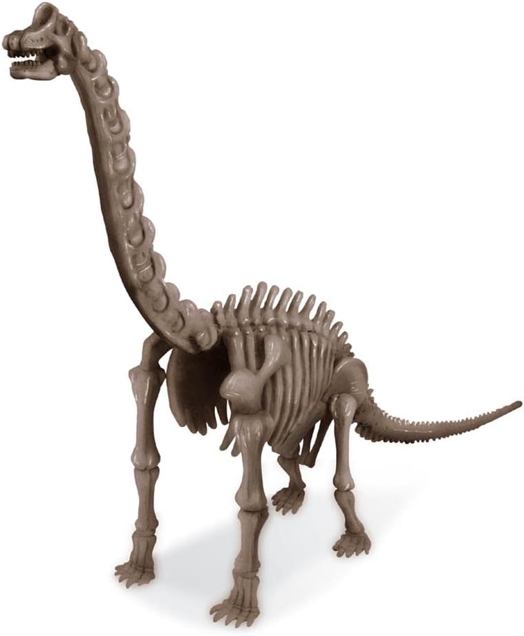 Kidz Labs Cava y Arma Tu Fósil de Brachiosaurus 8a+