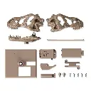 KidzLabs Cráneo T-Rex Mecánico 5a+