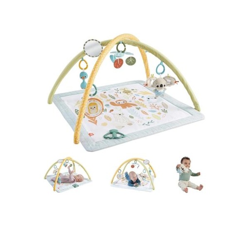 [MTHRB15] Fisher-Price Gimnasio para Bebés Primeros Sentidos 0m+
